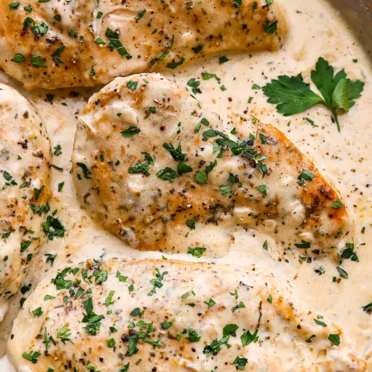 Creamy Boursin Chicken Recipe | The Recipe Critic
