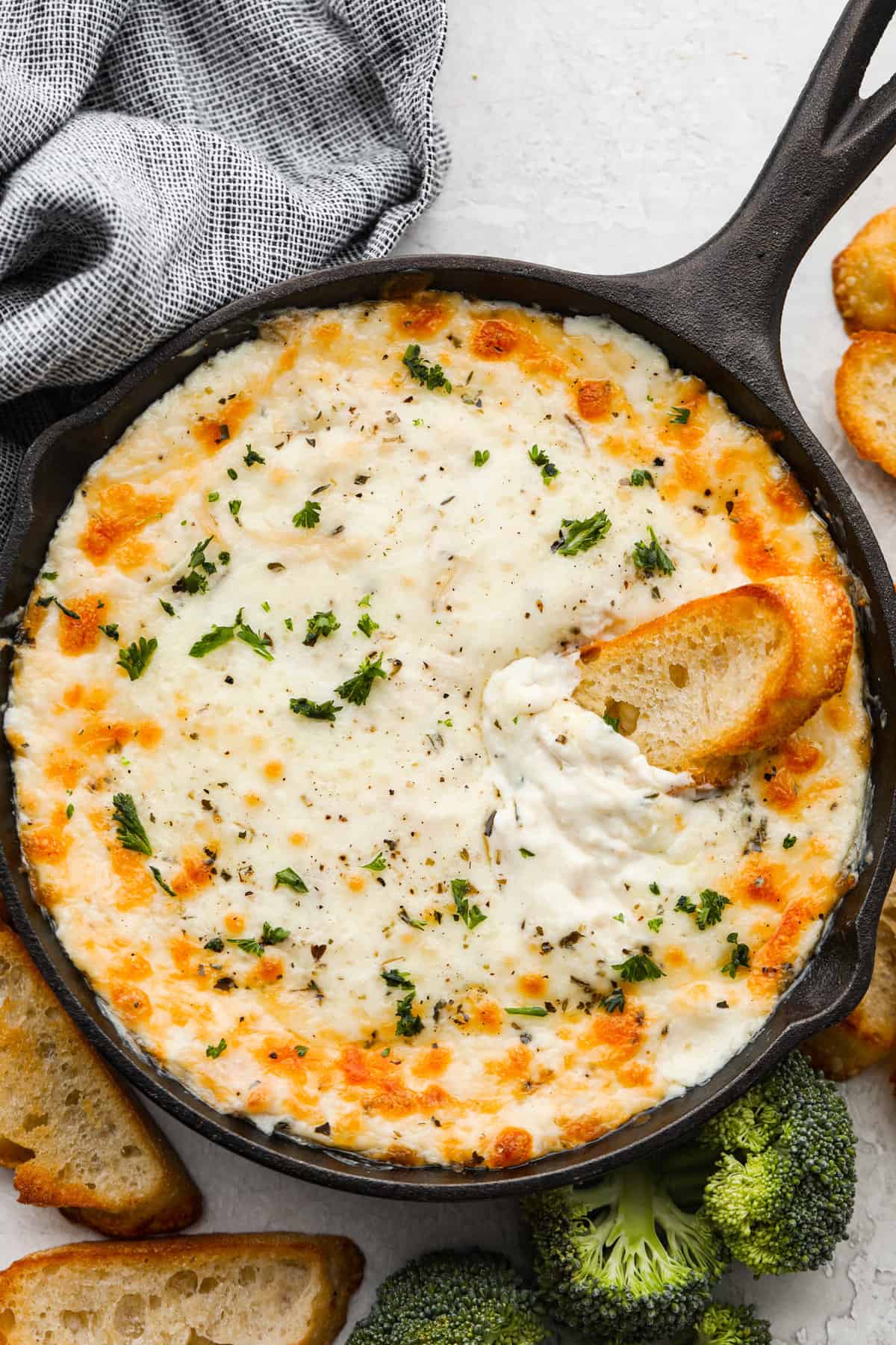 Creamy Chicken Alfredo Dip | The Recipe Critic