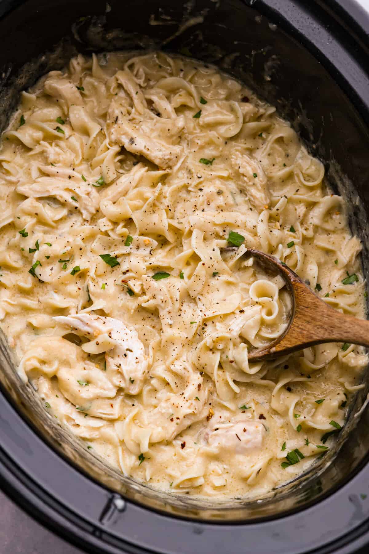Creamy chicken and noodles in the slow cooker.