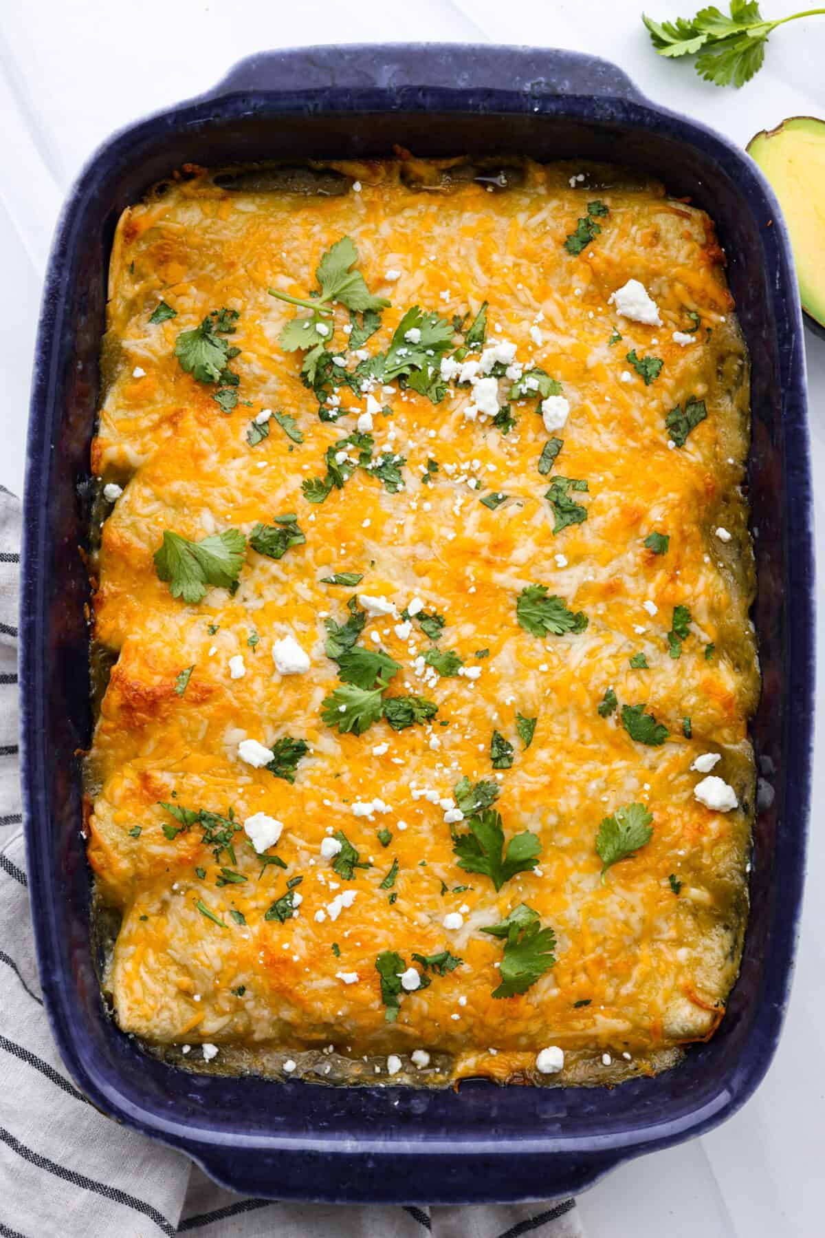 Top-down view of cream cheese enchiladas in a blue baking dish.