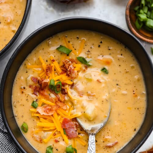 Beer Cheese Soup Recipe | The Recipe Critic