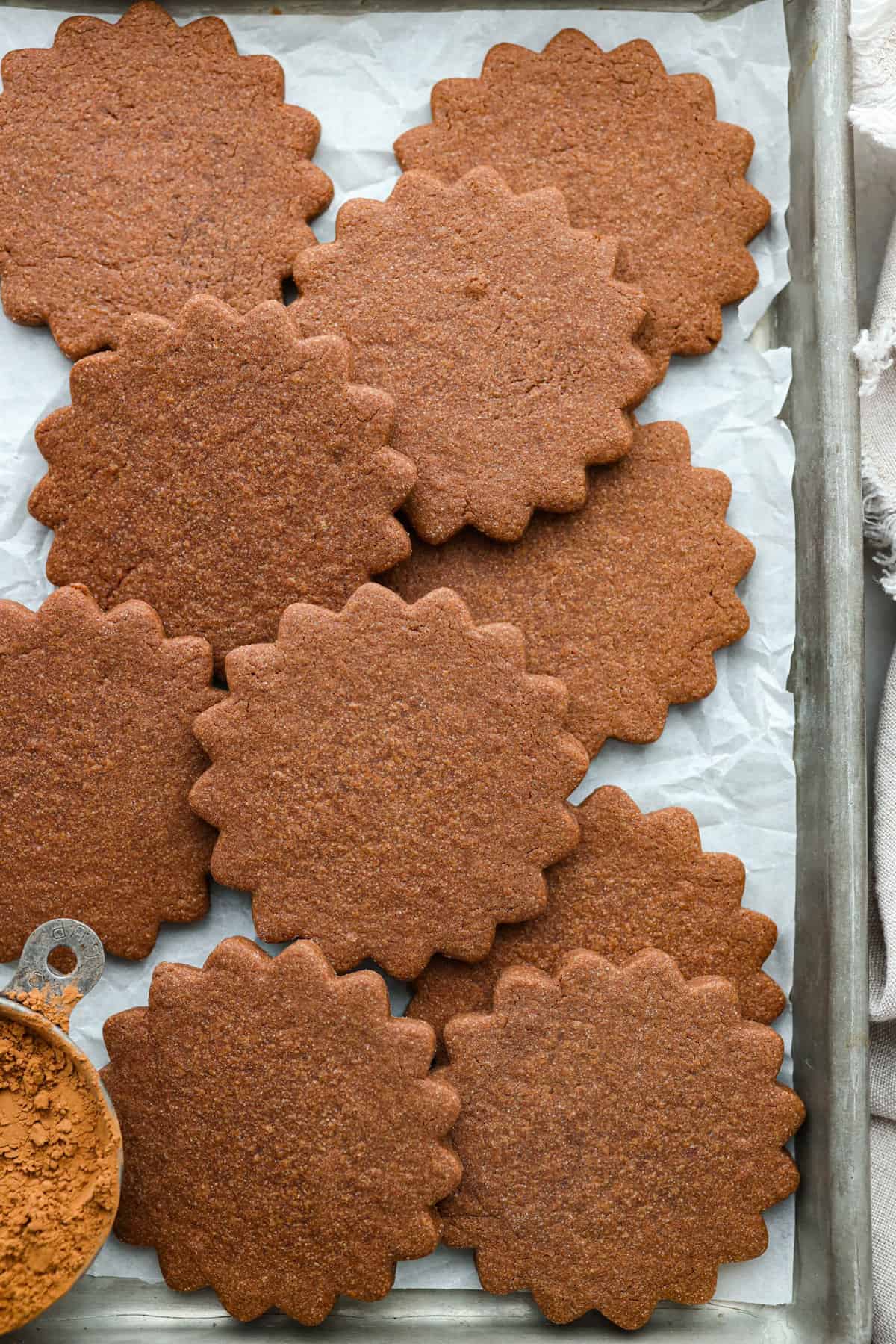 Chocolate sugar cookies are buttery, tender and melt in your mouth with each delicious bite! These are the perfect elevated cookies to cut out and frost for Valentine's Day, or any day! Top-down view of cooked chocolate sugar cookies in a parchment paper-lined pan.