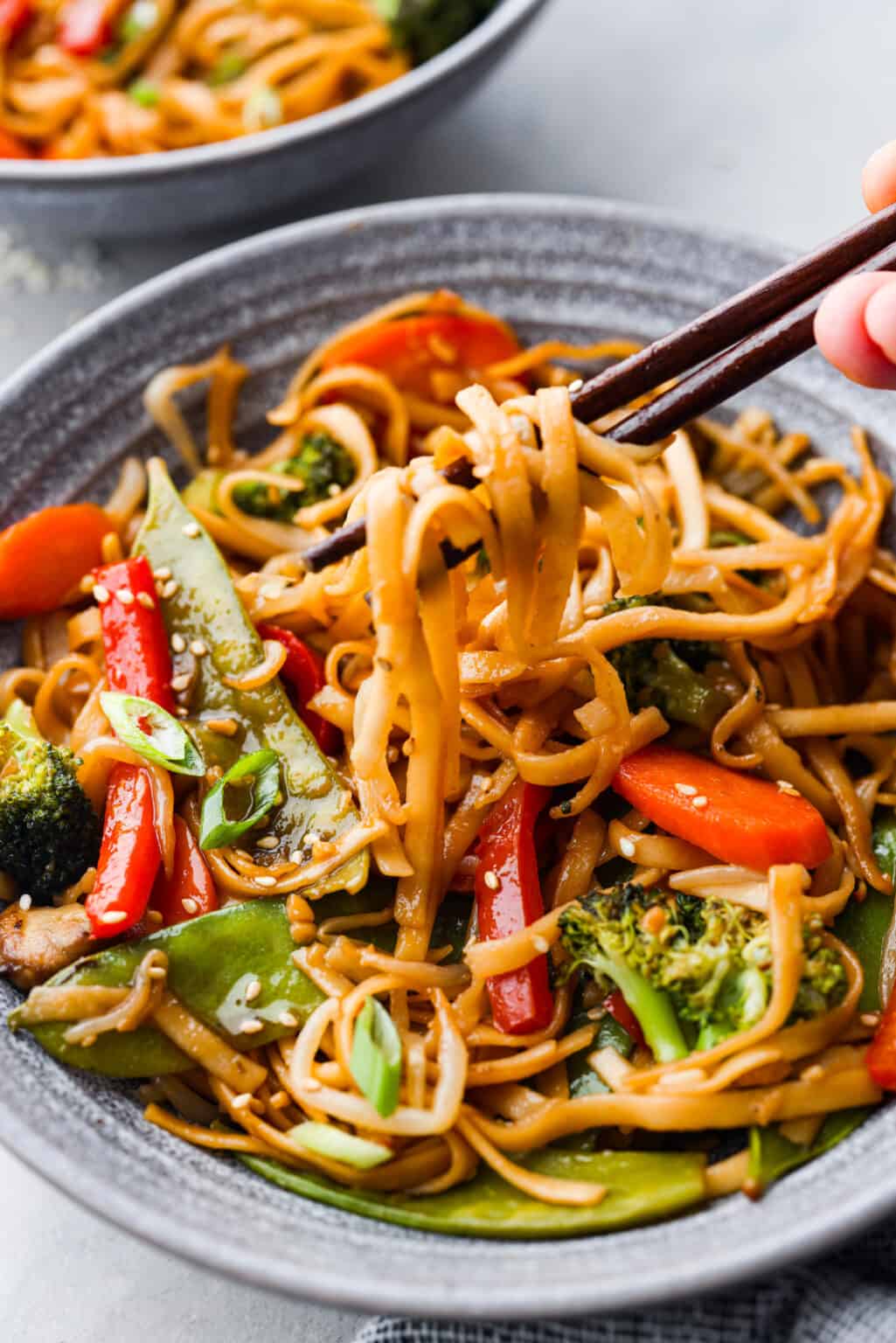 Vegetable Lo Mein Recipe (Ready in 20 Minutes!) | The Recipe Critic