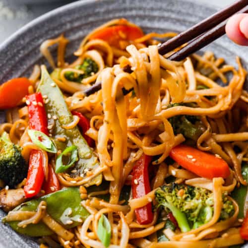 Vegetable Lo Mein Recipe (Ready in 20 Minutes!) | The Recipe Critic