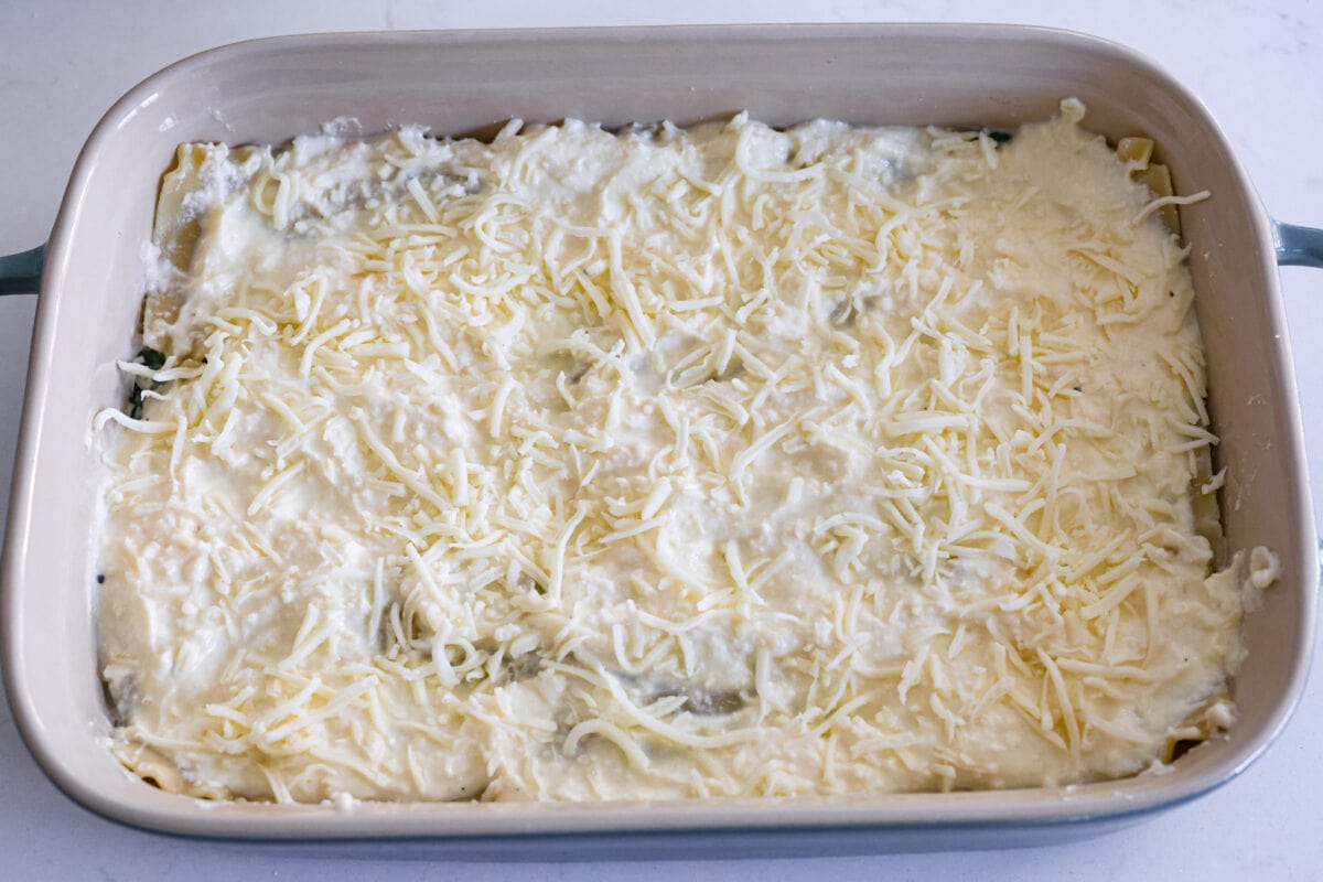 Layering the white lasagna with cheese.