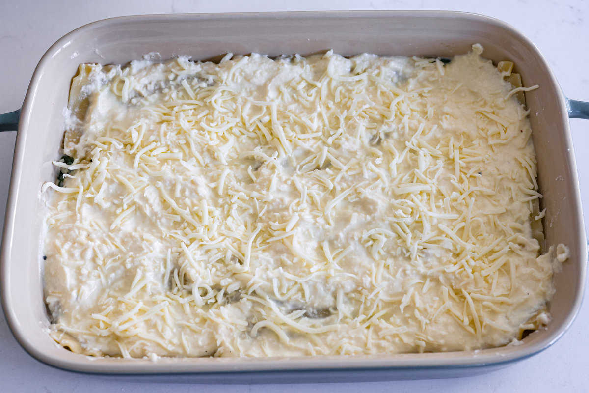 This white lasagna recipe swaps out traditional marinara for a homemade alfredo sauce that’s too good to resist. Packed with tender spinach, ricotta cheese, and Italian sausage, each bite is a dream! Layering the white lasagna with cheese.