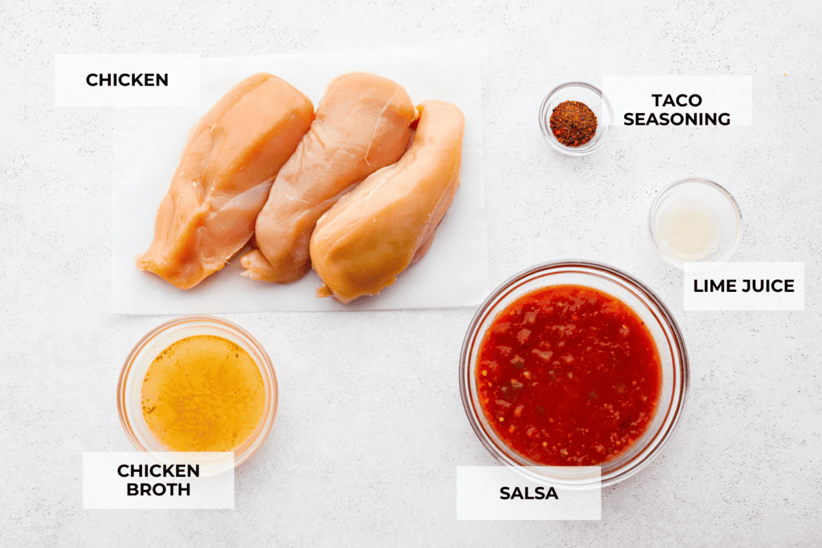 Ingredients to make salsa chicken labeled. 
