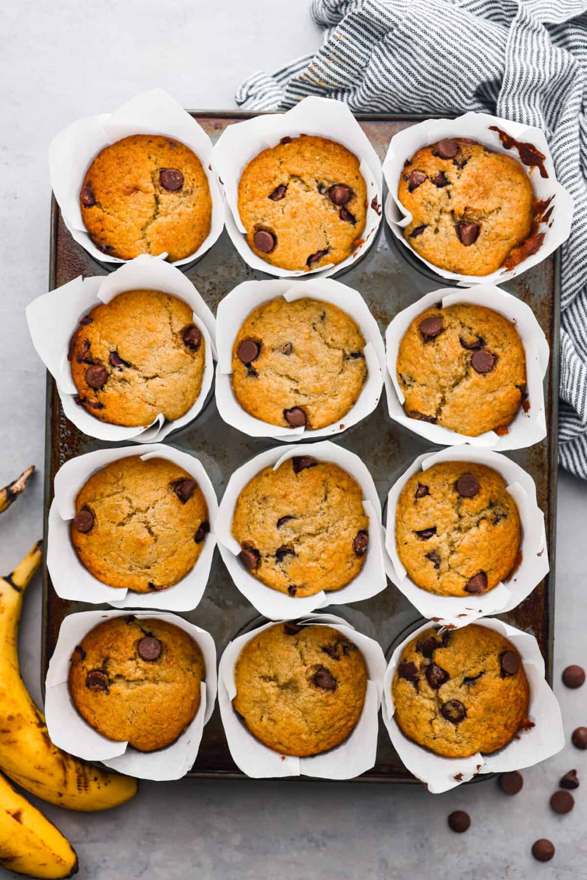 The top view shot of baked banana chocolate chip muffins in a muffin tin. 