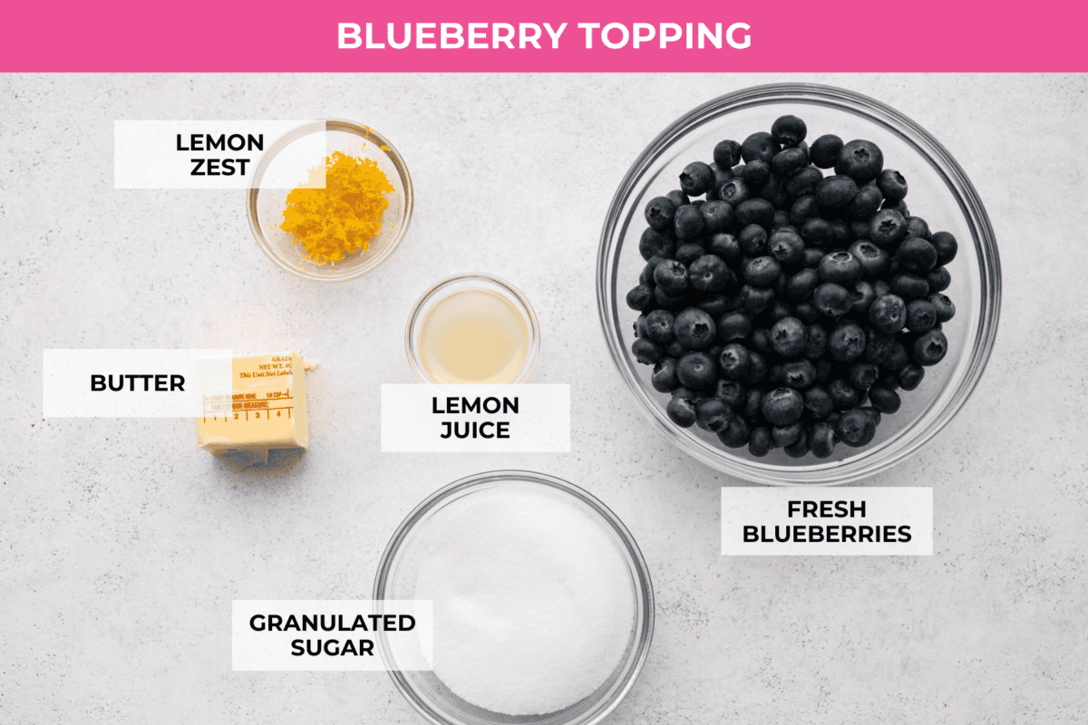 Ingredients labeled to make the  blueberry topping.