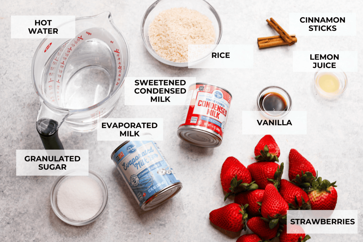 Ingredients labeled to make strawberry horchata.