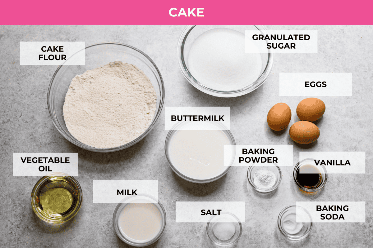 Top view of cake ingredients all individually labeled. 