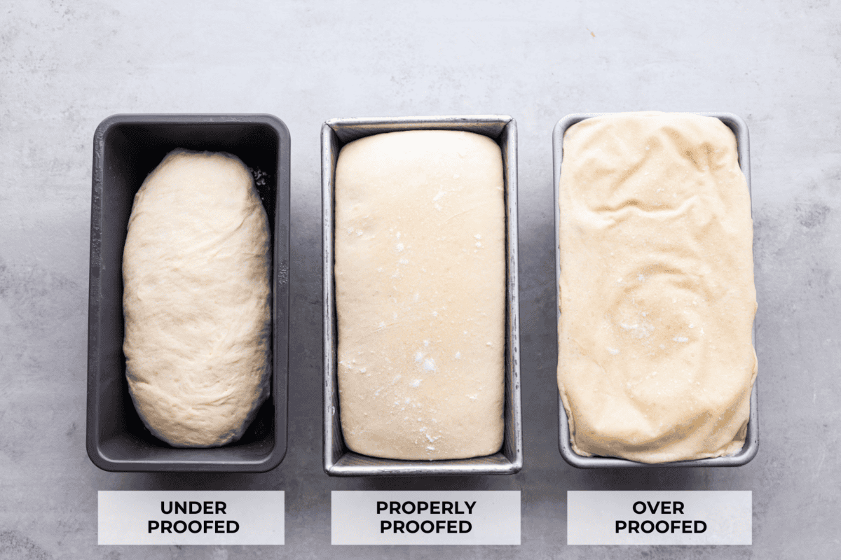 3 pictures of dough in pans showing how to properly bake with yeast and what under proofed, properly proofed and over proofed dough looks like. 