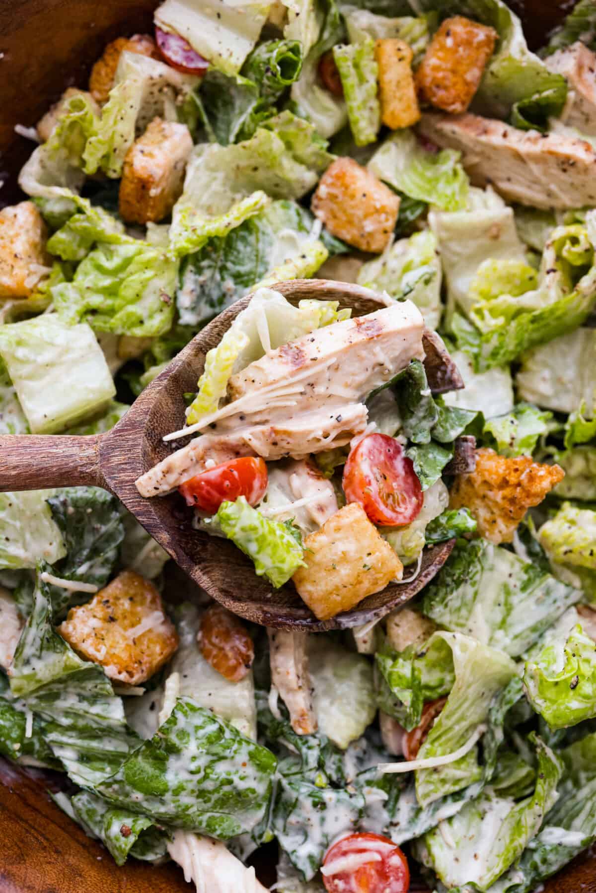 A close up of grilled chicken caesar salad in a bowl being scooped with a wooden spoon. 