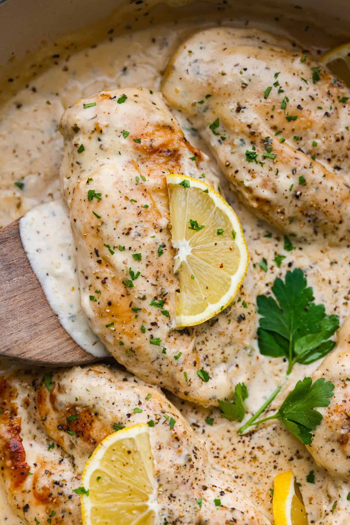 Closeup of a creamy lemon parmesan chicken being lifted out of the pan with a wooden spatula.