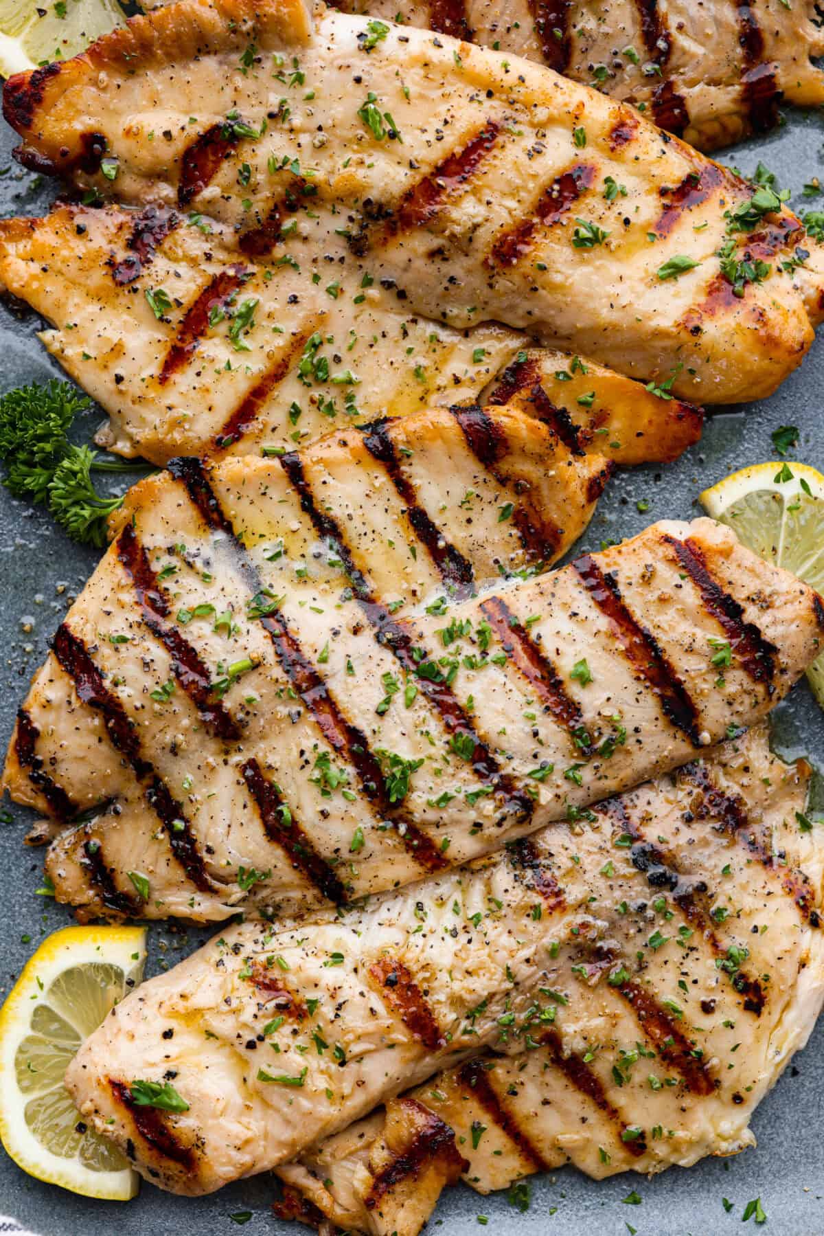 Close up of grilled tilapia. 