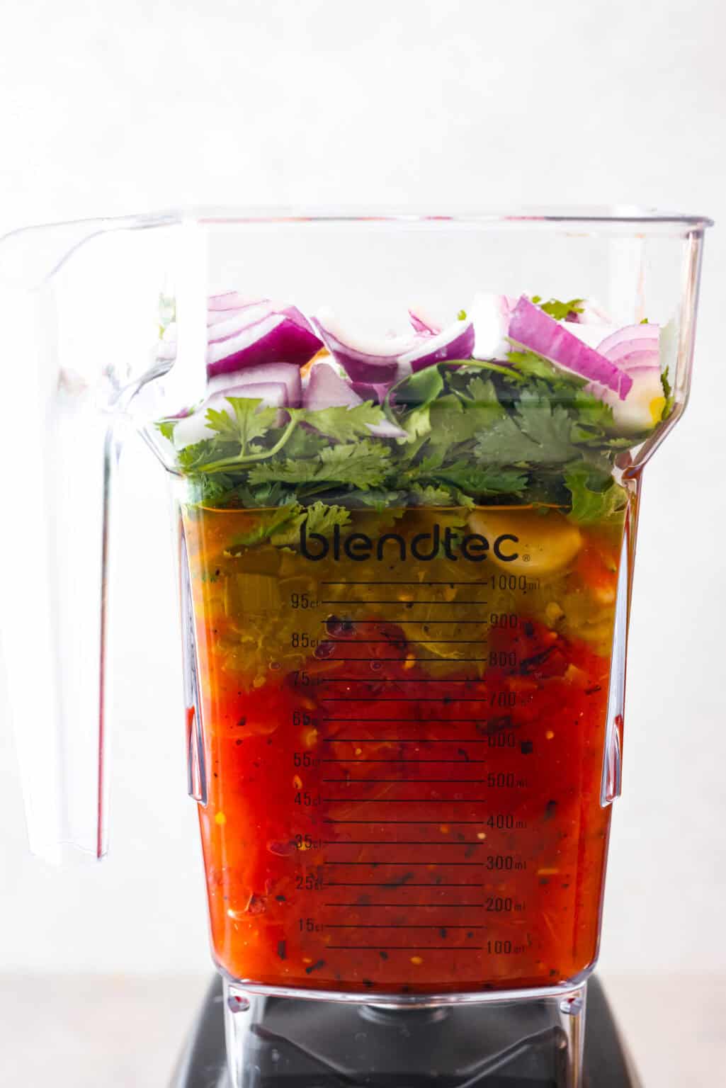 Best Blender Salsa | The Recipe Critic