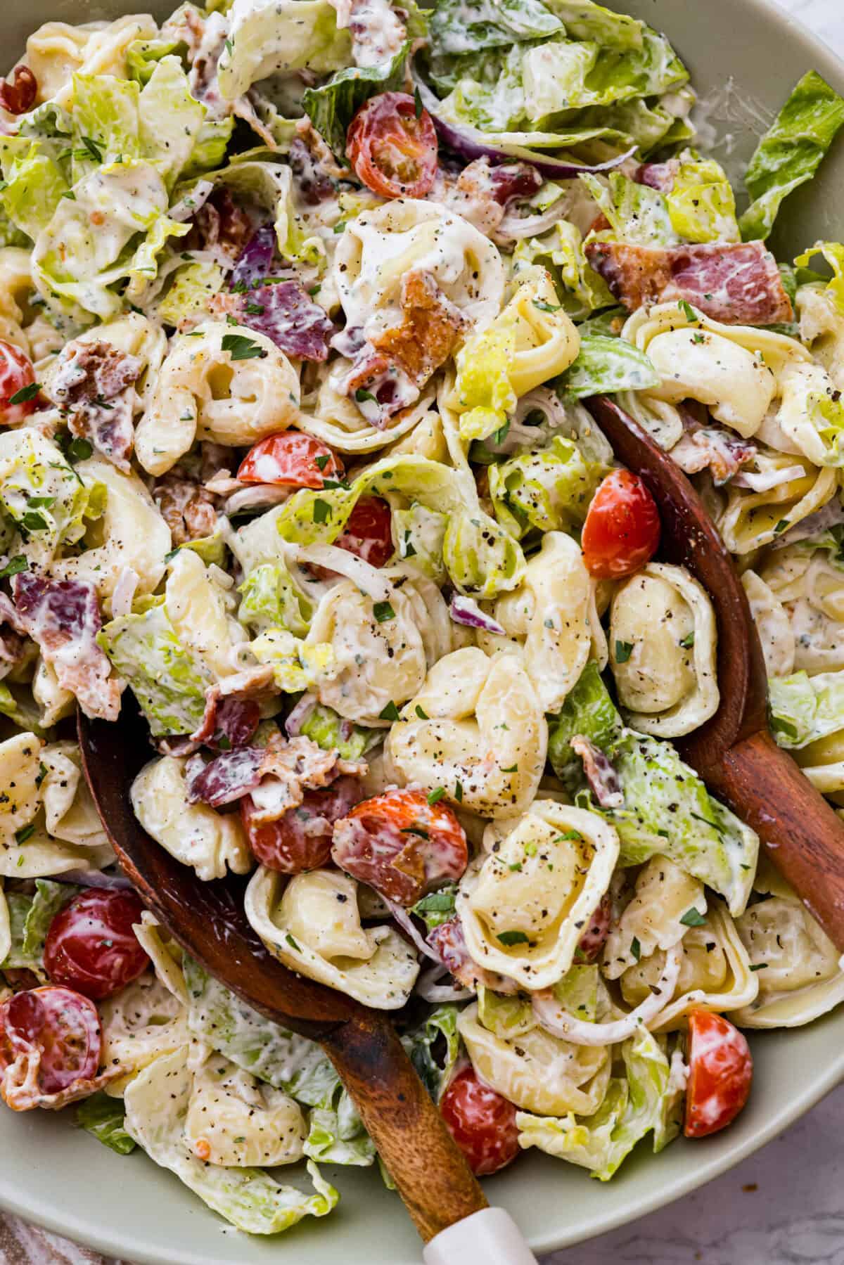 Close up shot of BLT tortellini pasta salad with two wooden serving spoons. 
