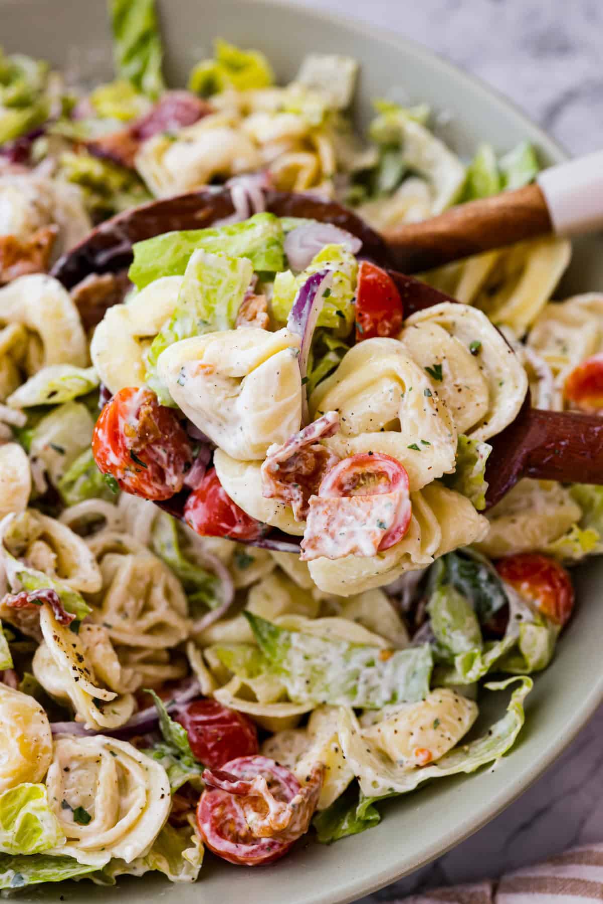 BLT Tortellini Pasta Salad | The Recipe Critic