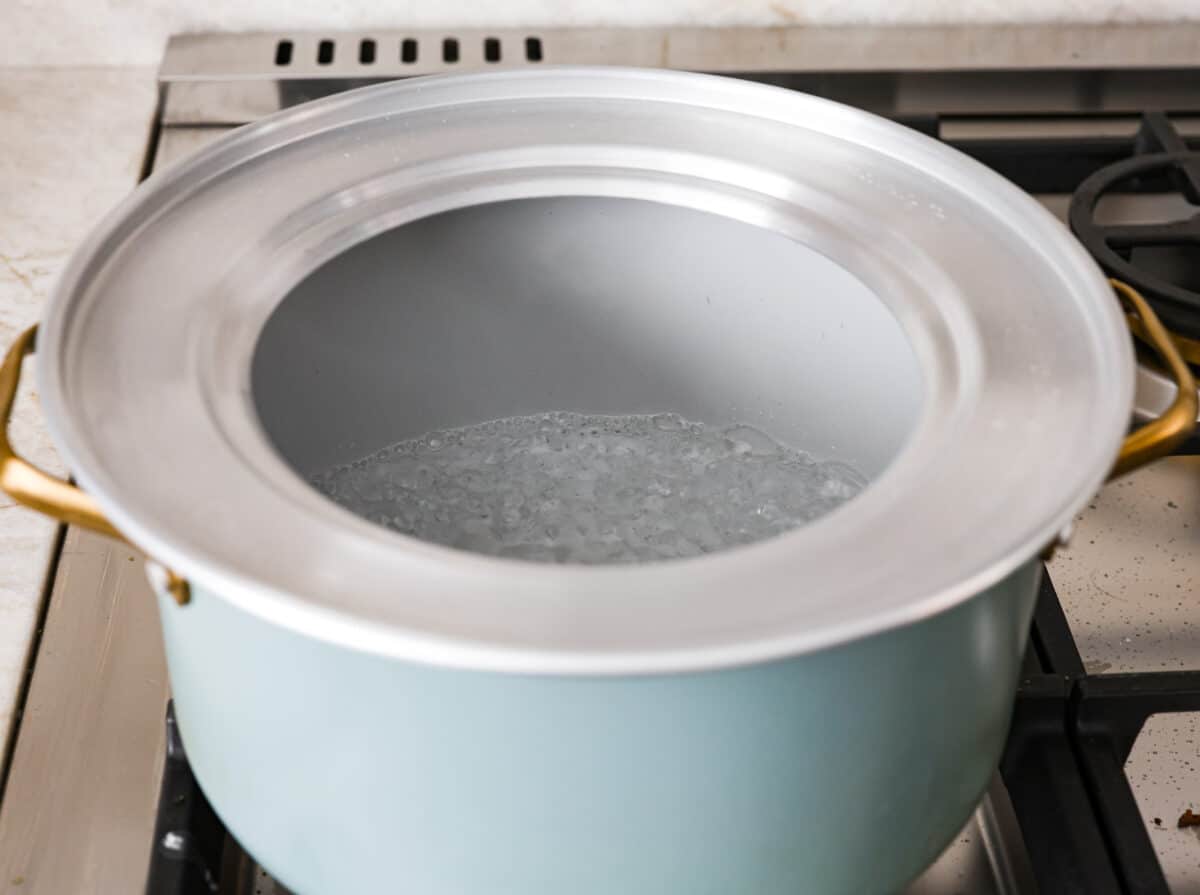 Angle shot of pot with steamer ring fitted on top with boiling water inside. 