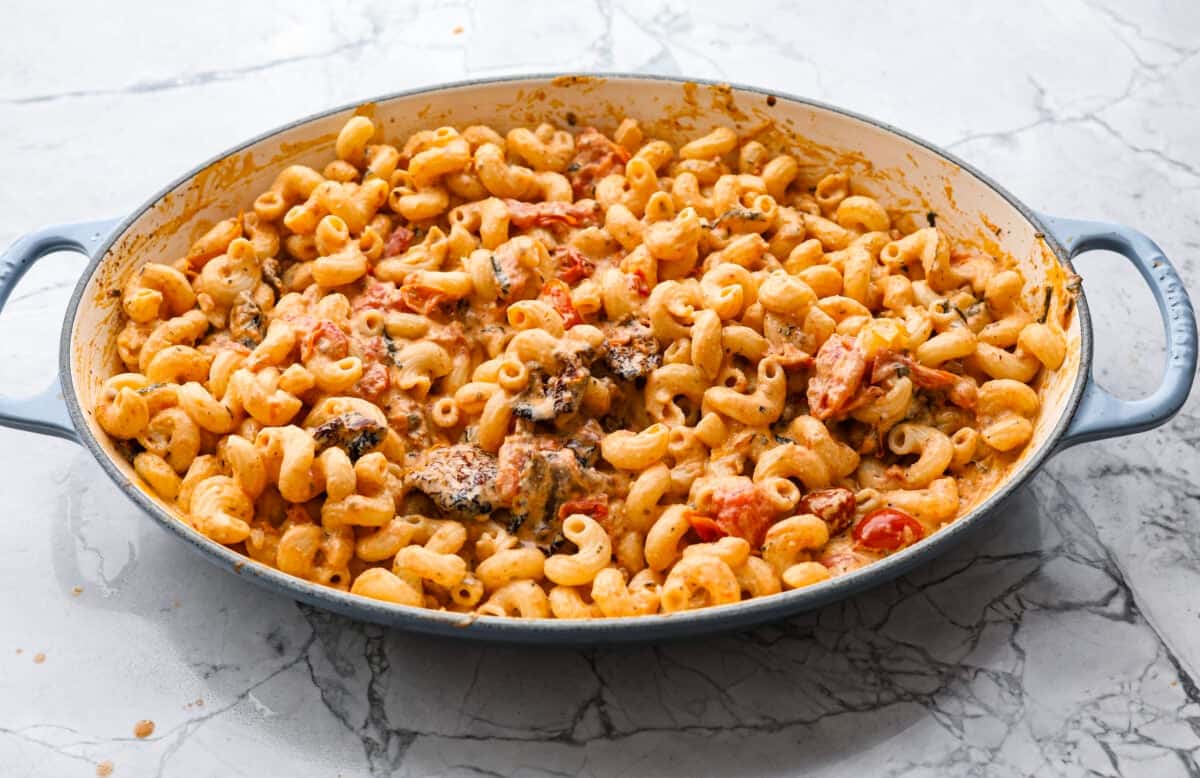 Angle shot of pasta mixed with the cheese sauce. 