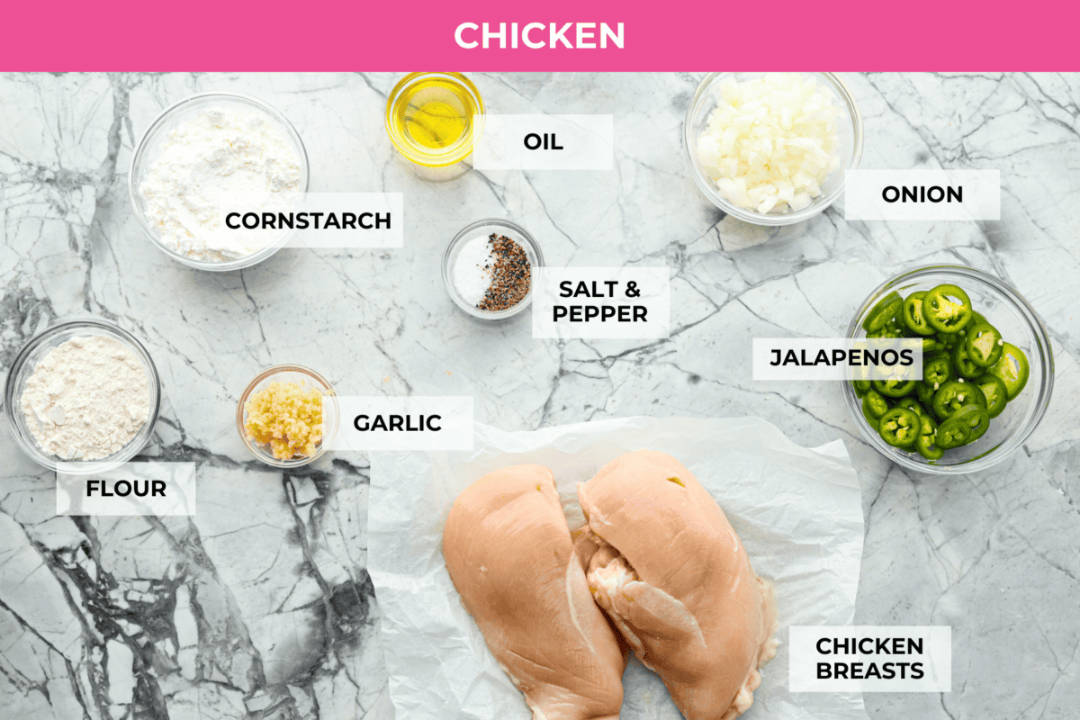 Overhead shot of labeled chicken ingredients. 