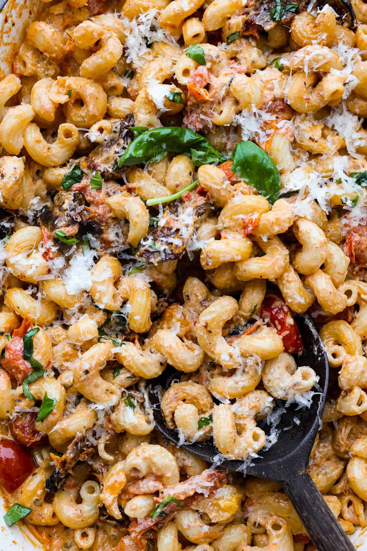 This Boursin pasta recipe has gone viral on social media. It's simple to make and packed with flavor! It's creamy with a distinct zingy bite from the Boursin cheese and sundried tomatoes. This dish screams flavor! It's anything but boring. Close up shot of Boursin Pasta.