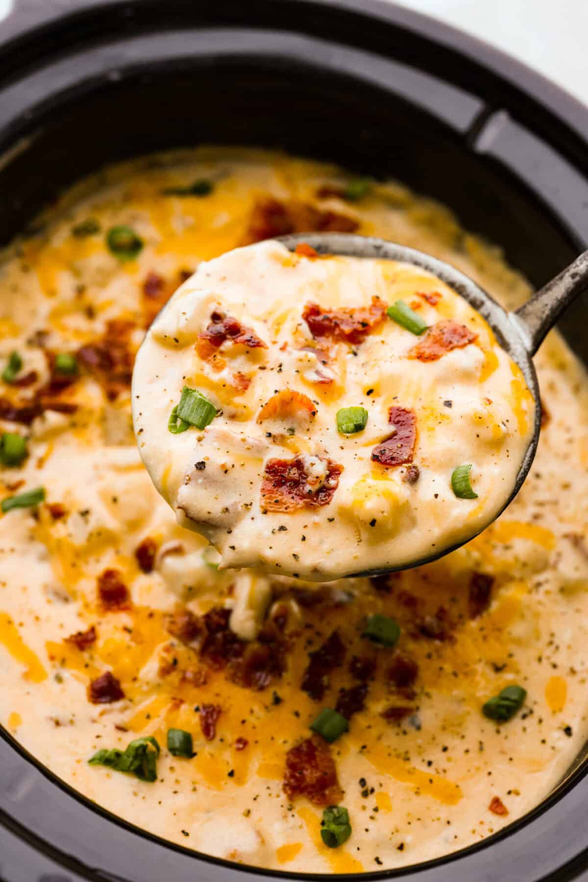 Top shot of a spoonful of crock pot crack potato soup. 