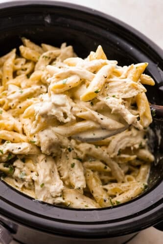 Crockpot Chicken Alfredo | The Recipe Critic