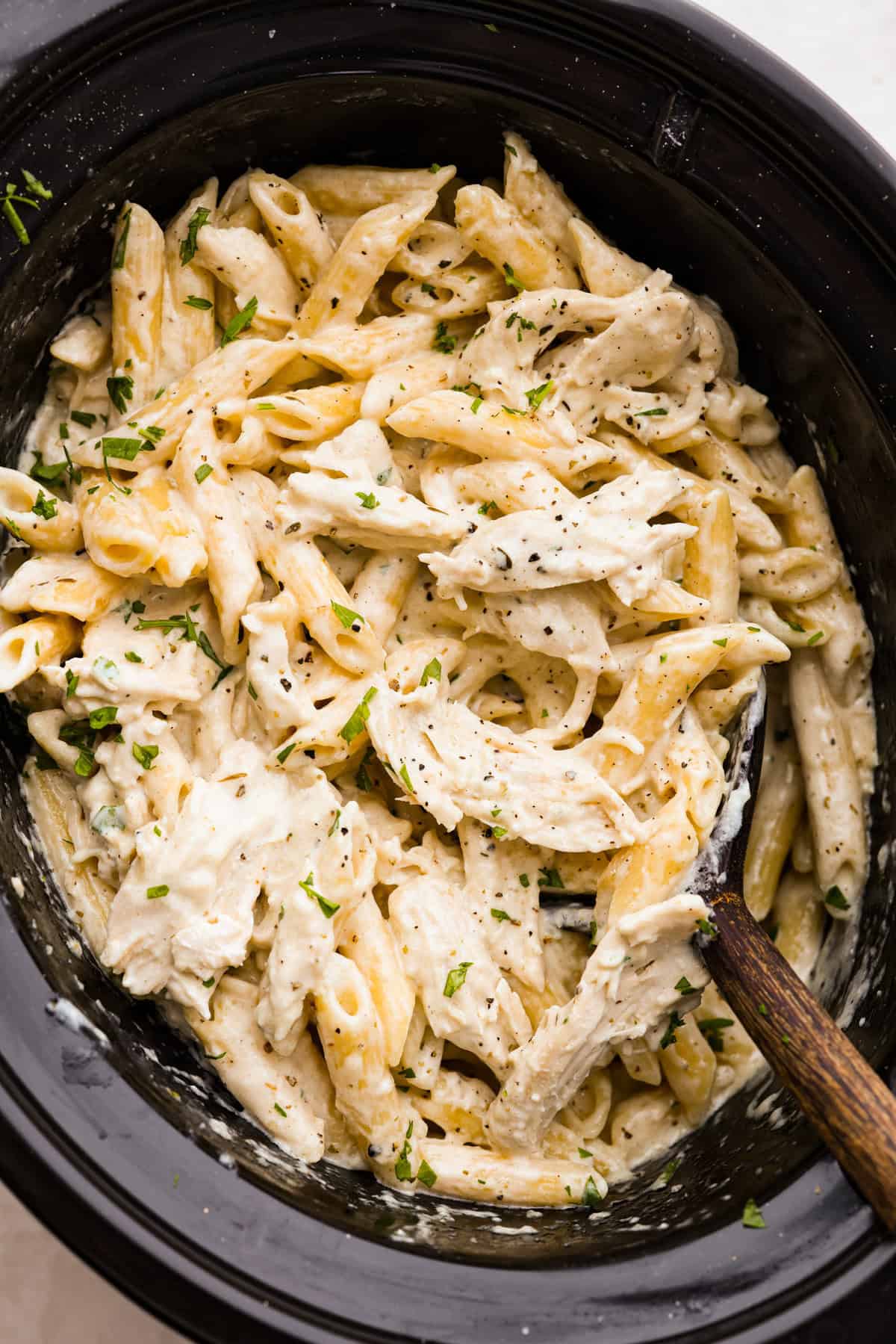 Crockpot Chicken Alfredo | The Recipe Critic