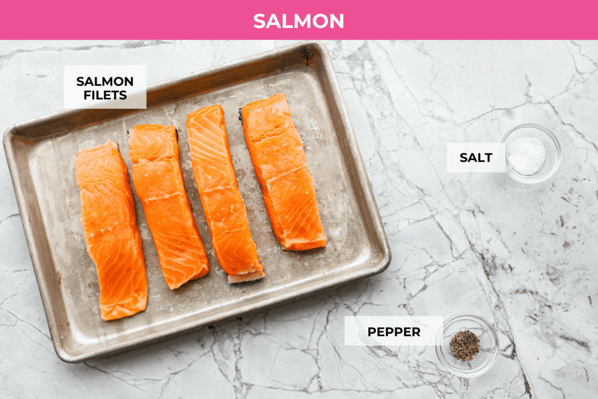 Photo from above of labeled salmon ingredients. 