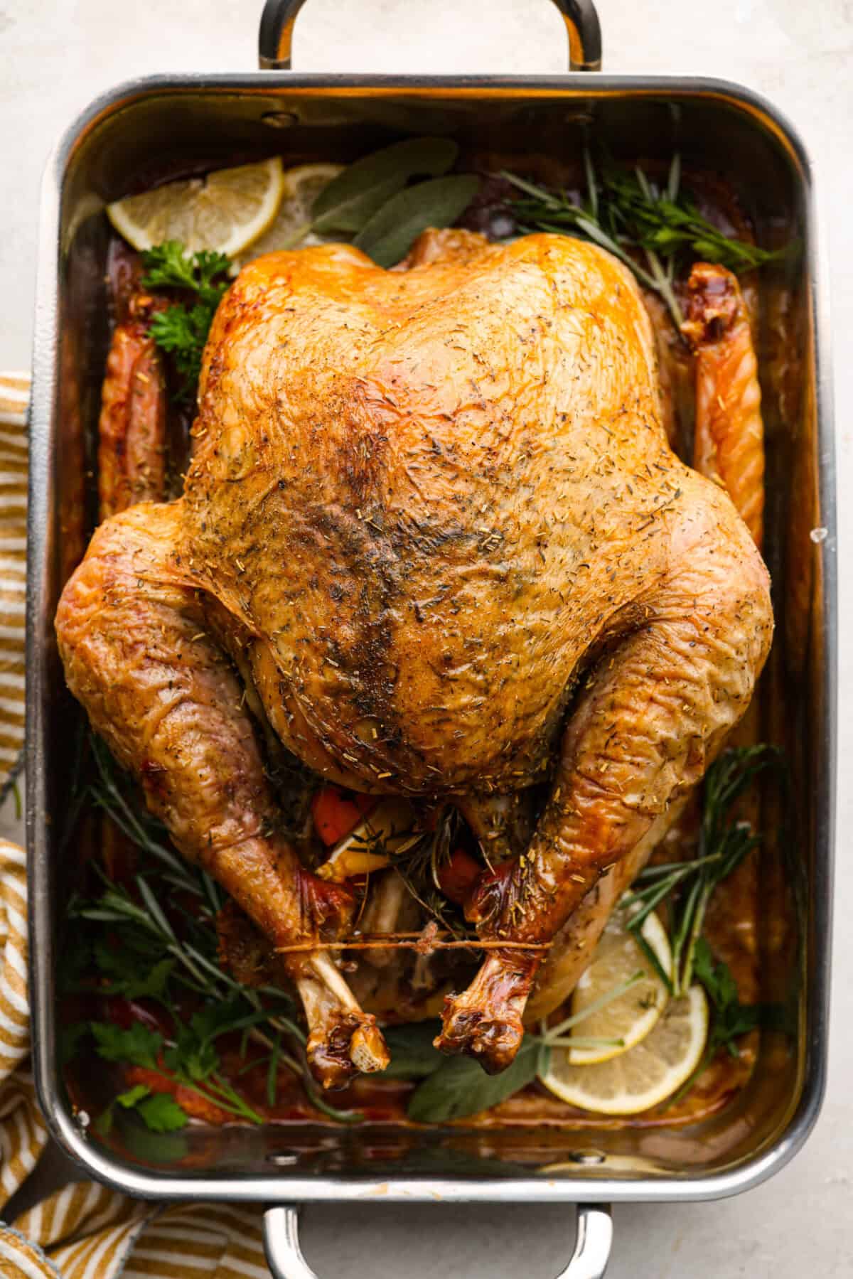 Overhead shot of dry brine turkey in a roasting pan. 