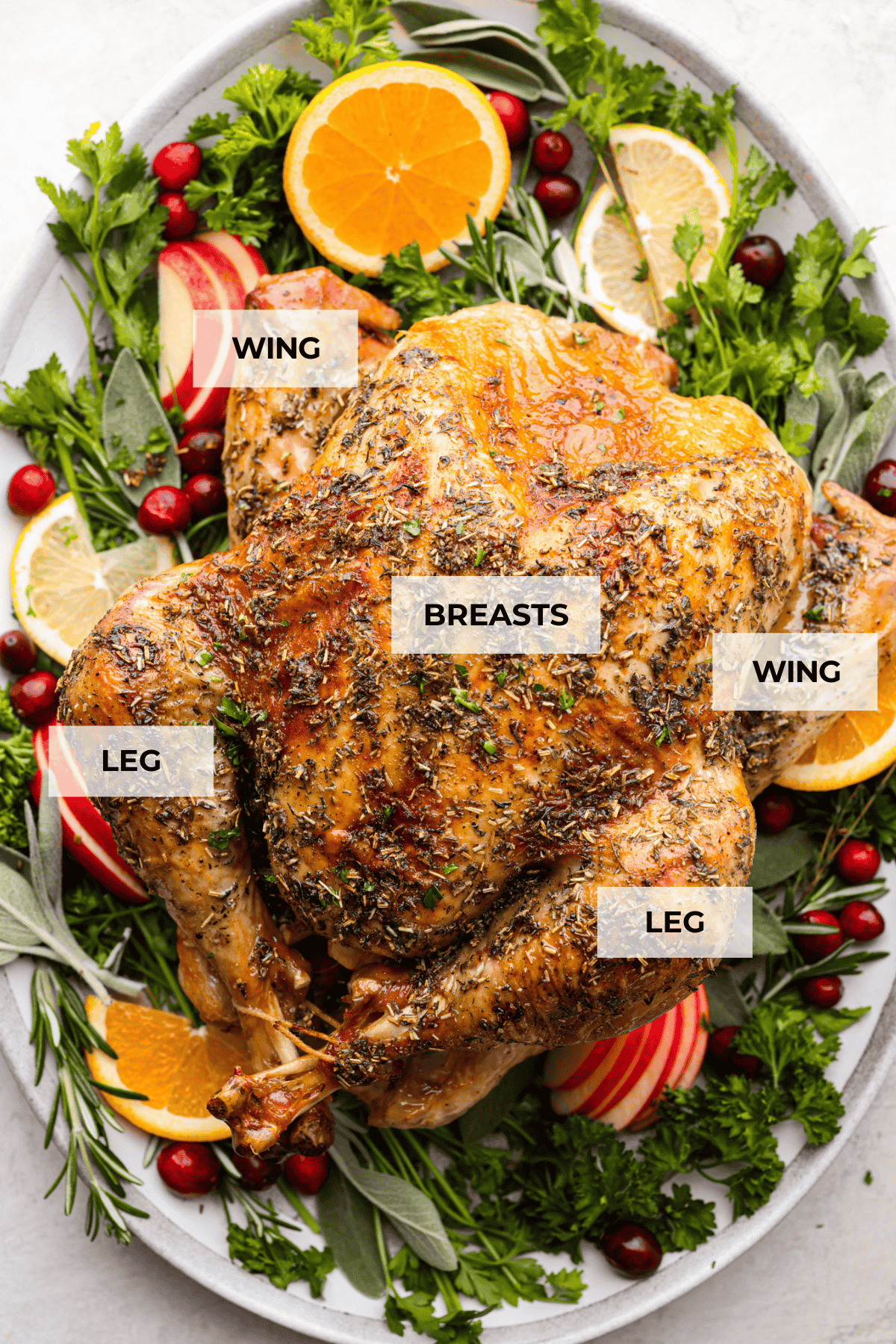 Top view of a roasted turkey on a platter with labeled pieces.