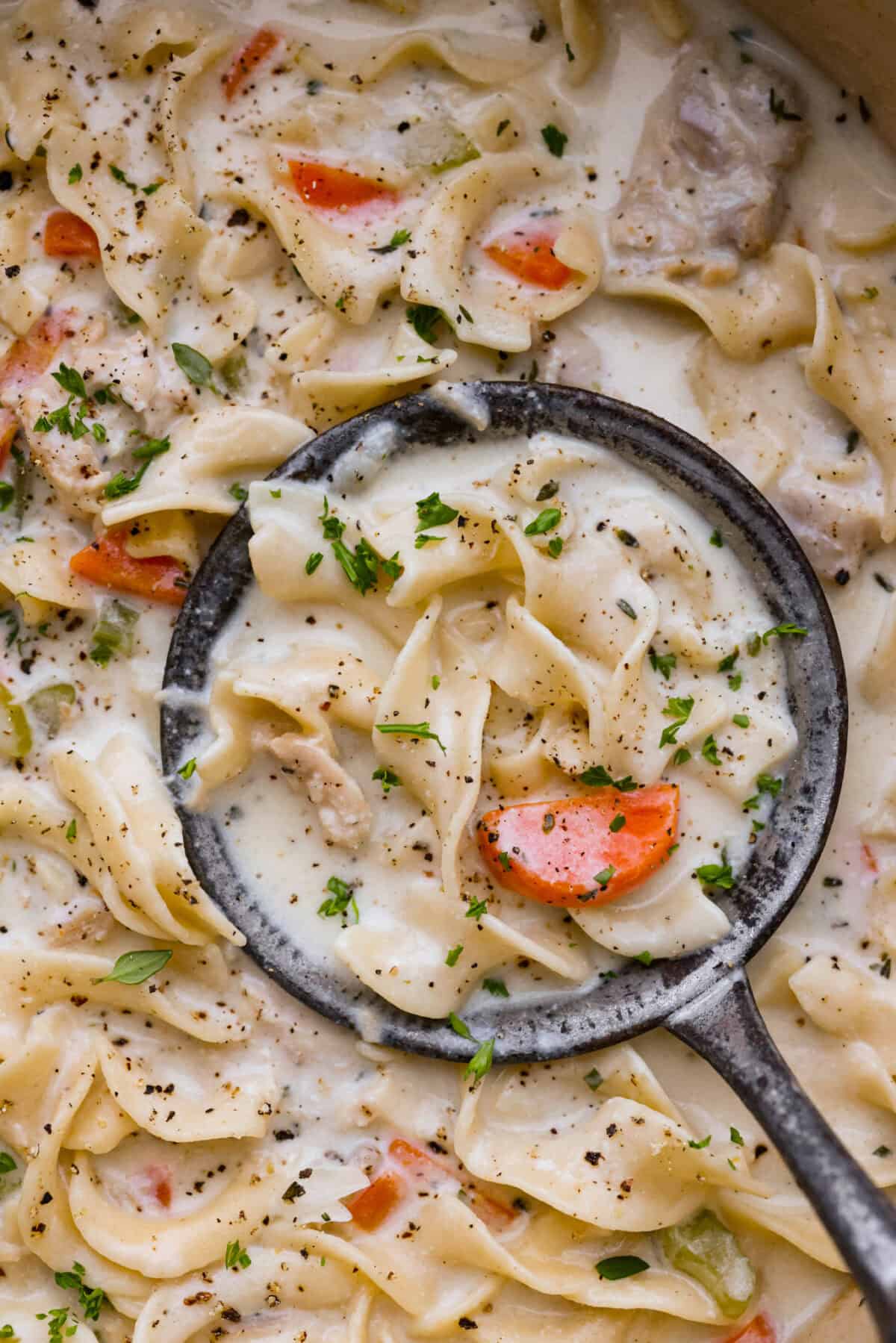 Close up shot of creamy chicken noodle soup. 