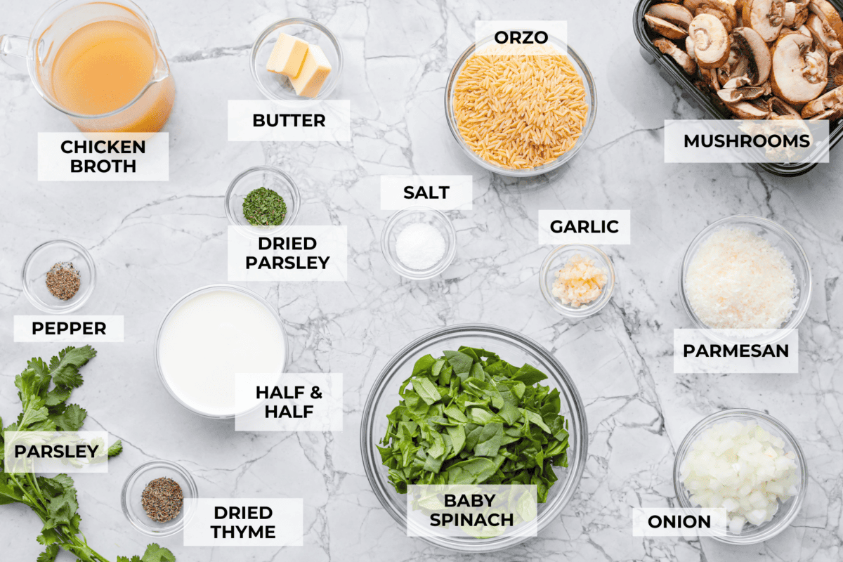 Overhead shot of labeled ingredients. 