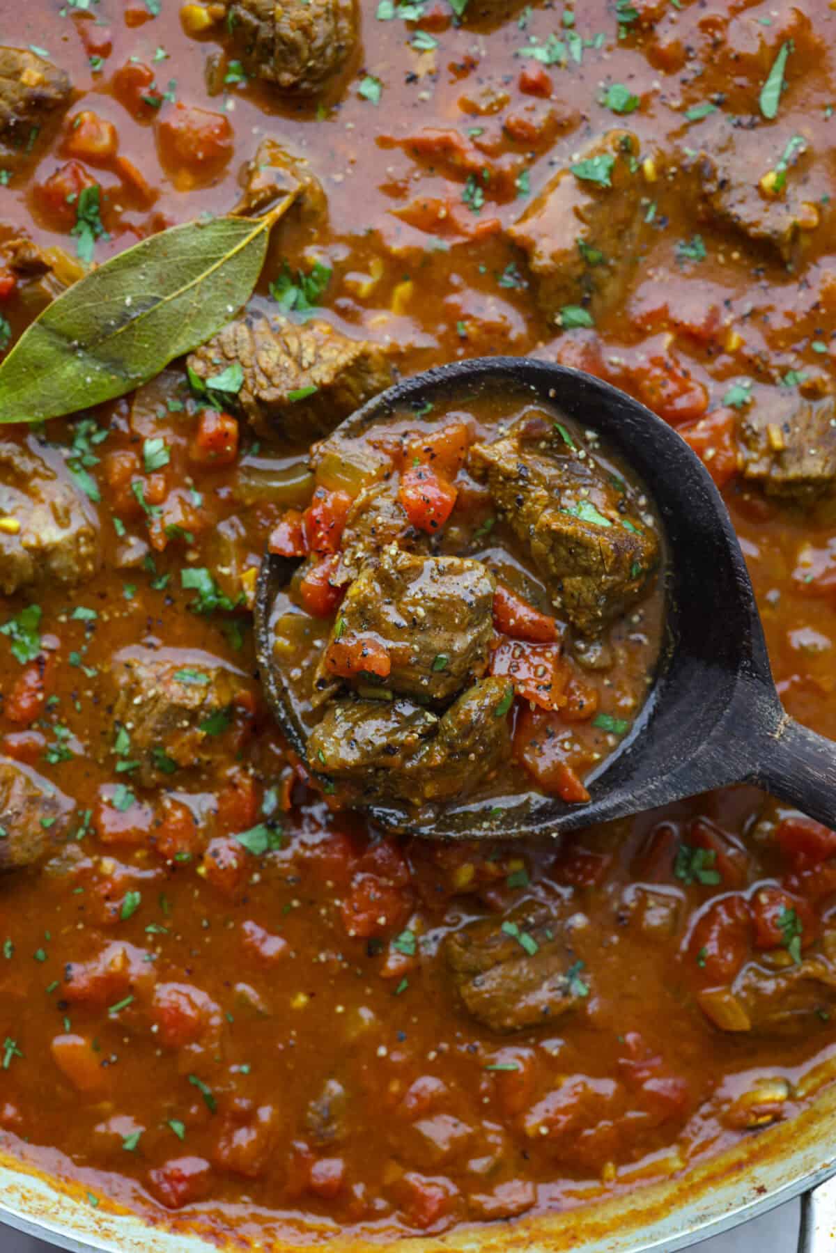 Close up shot of beef curry. 