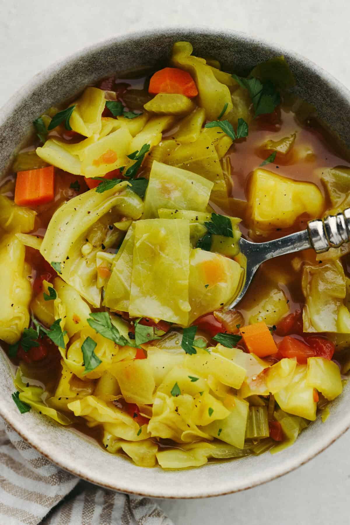 Overhead shot of a bowl of detox cabbage soup. 