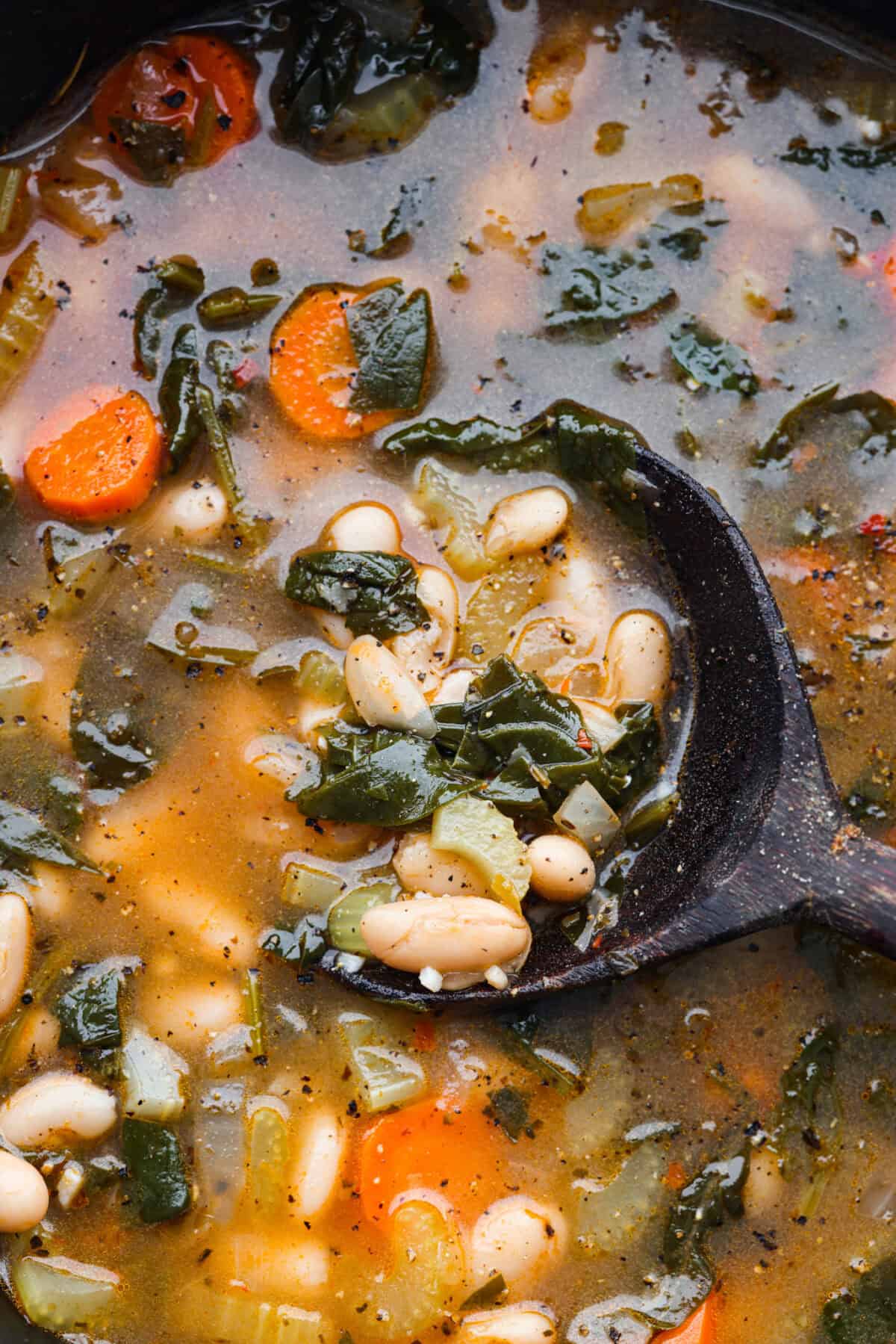 Close-up of Tuscan white bean soup. 