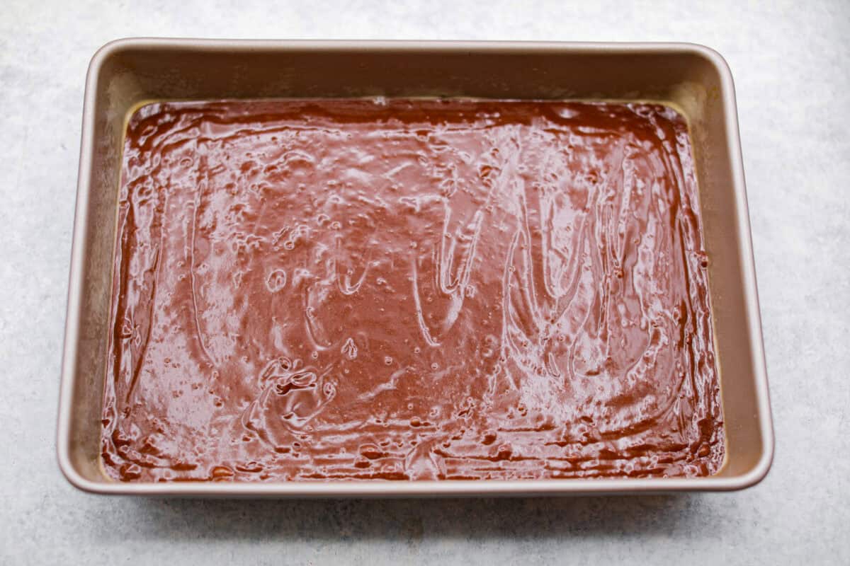 Overhead shot of the cake batter poured into the prepared cake pan. 