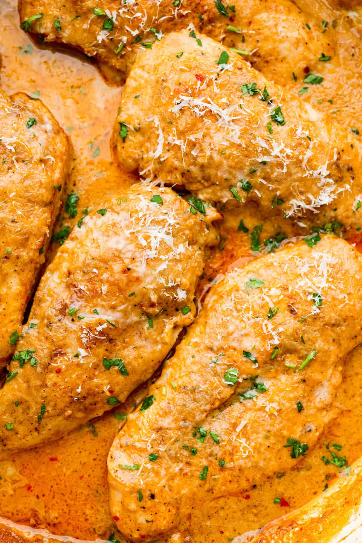 Close up shot of creamy cajun chicken. 