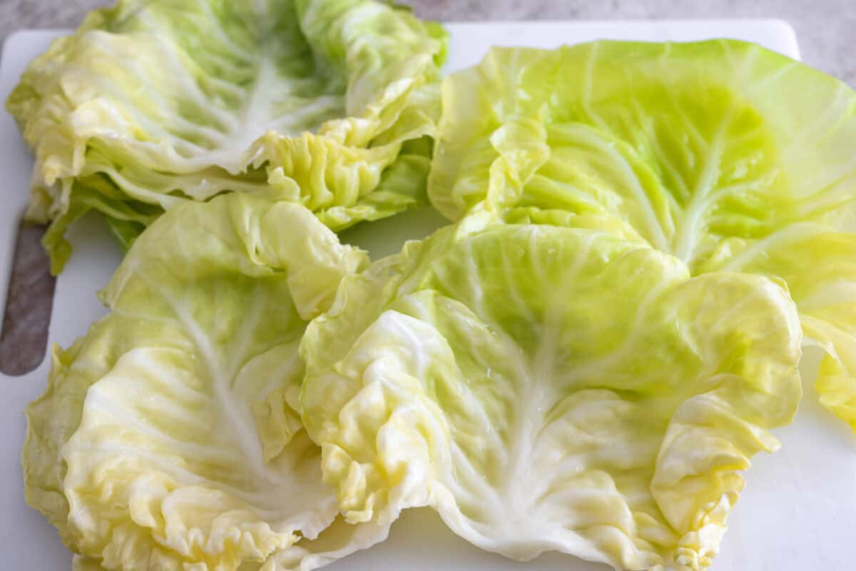 Close up shot of the cabbage leaves drying to the side. 