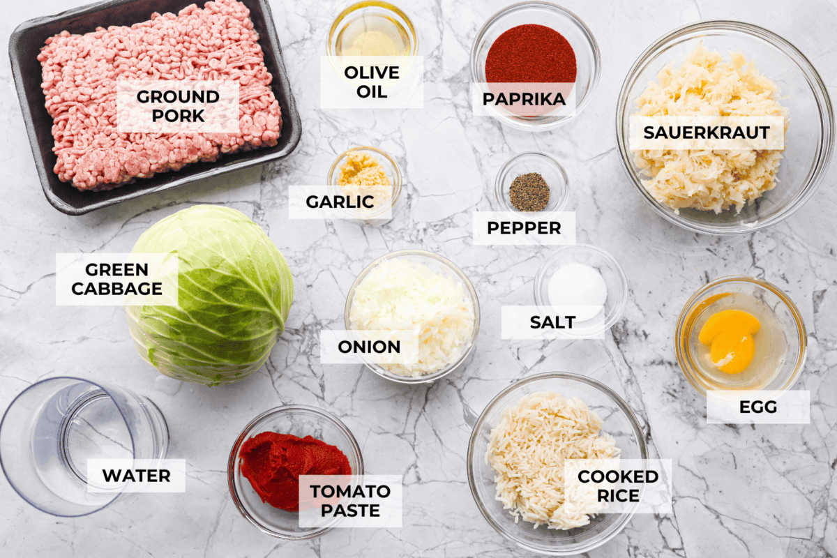 Overhead shot of labeled Hungarian cabbage roll ingredients. 