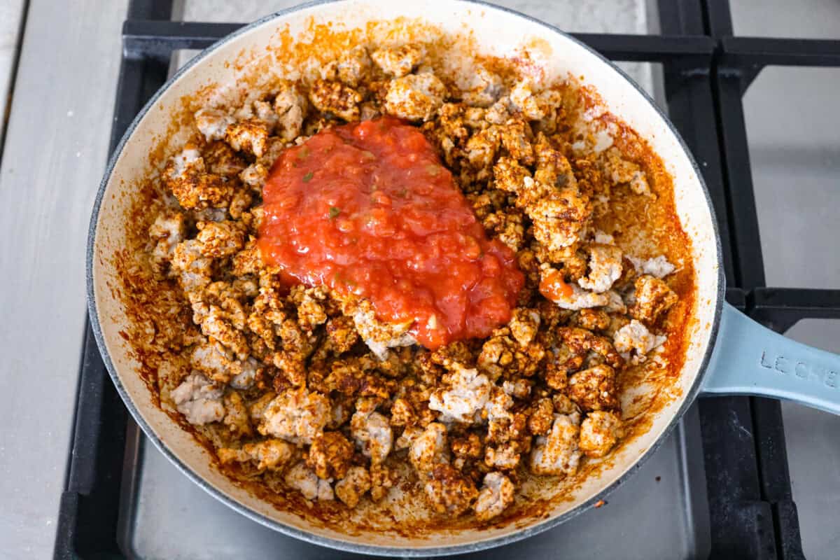 Overhead shot of turkey and taco seasoning with salsa. 