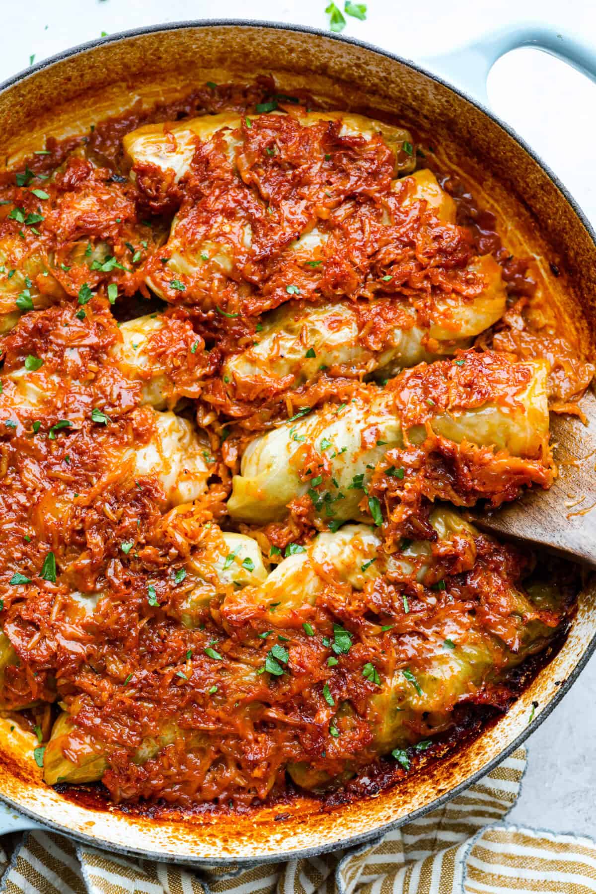 Overhead shot of the cooked Hungarian cabbage rolls in teh dutch oven. 