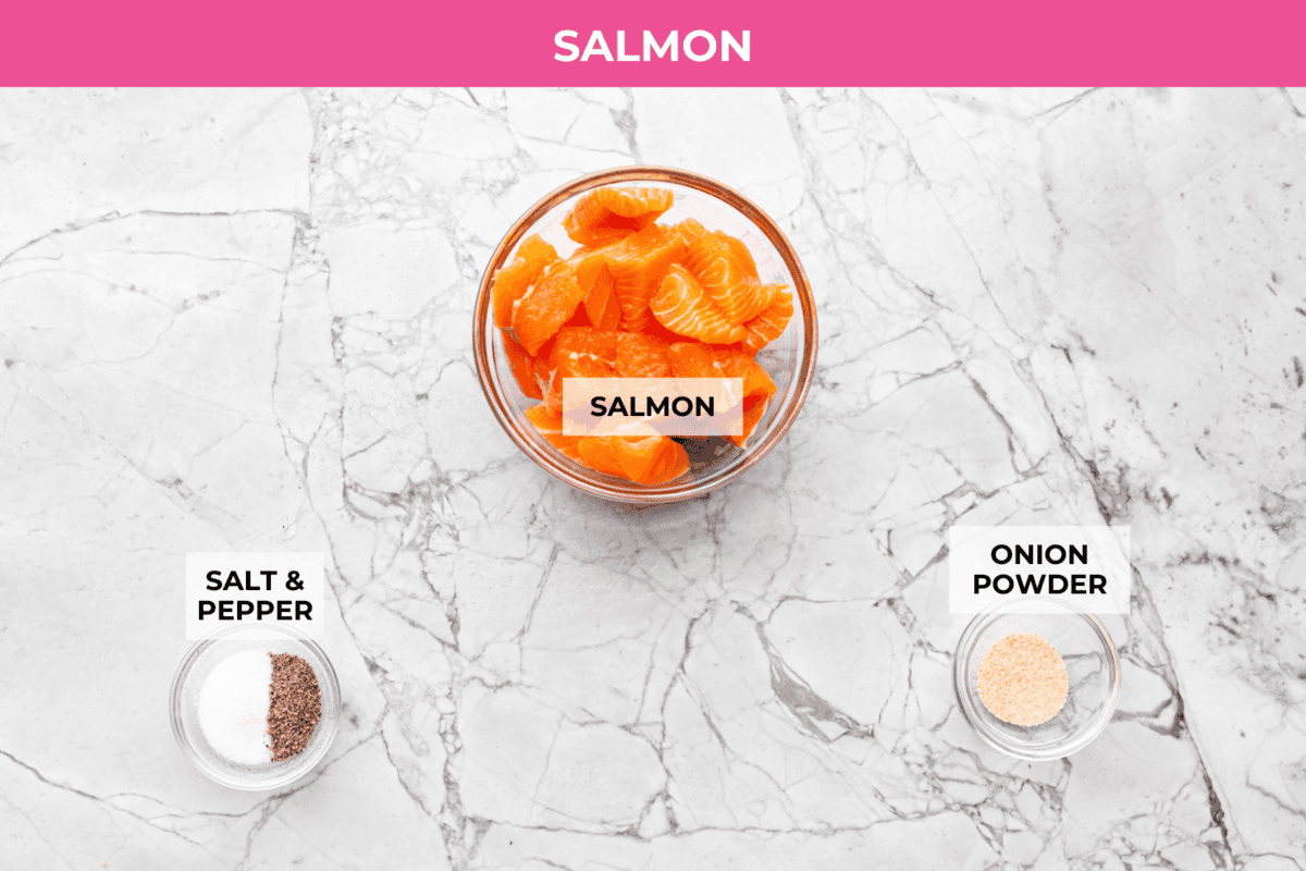 Overhead shot of labeled air fryer salmon ingredients. 