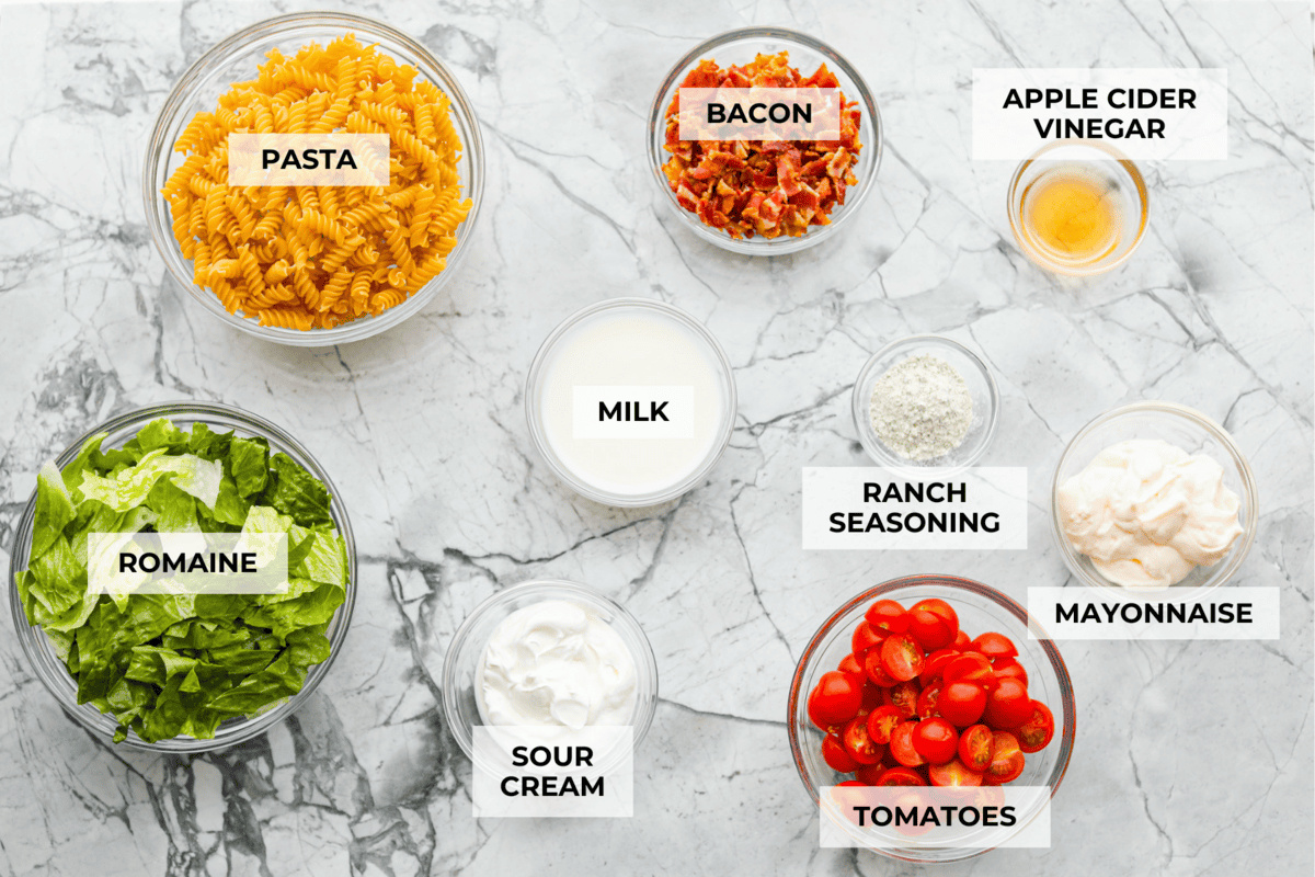 The best sandwich ever? Hands down, a BLT. Add in my obsession with pasta salads and, chef’s kiss! This BLT Pasta Salad has the crispy bacon, juicy tomatoes, and crunchy lettuce we all love! Overhead shot of labeled BLT pasta salad ingredients.