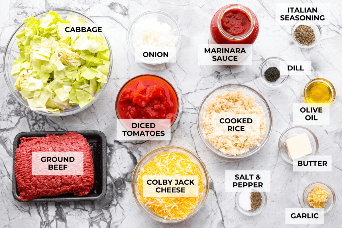 Overhead shot of labeled cabbage roll casserole ingredients. 