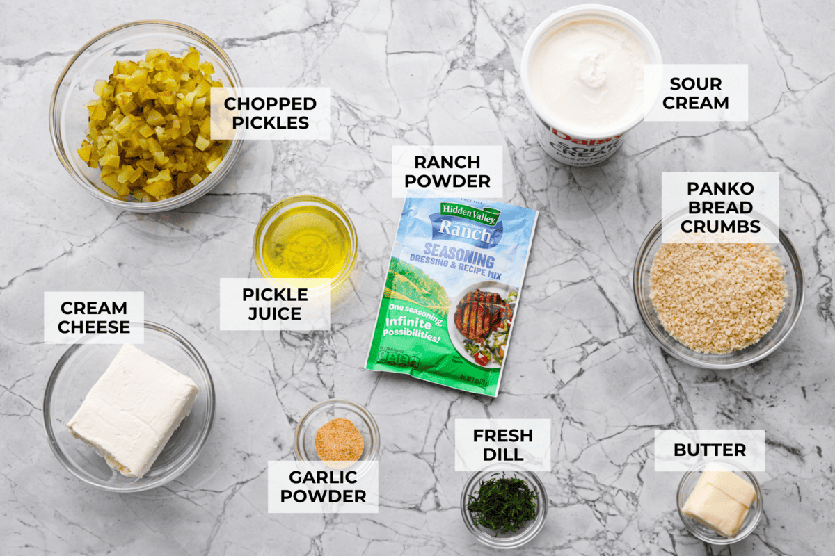 Meet my Fried Pickle Dip...a viral take on my popular pickle dip! The toasted bread crumbs elevate the flavors with the crunchy Overhead shot of labeled fried pickle dip ingredients.