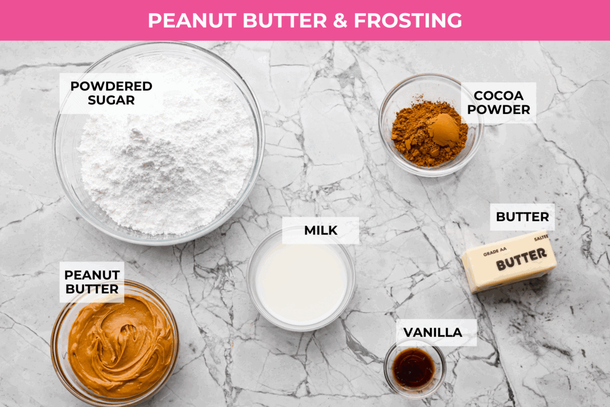 Overhead shot of labeled peanut butter and frosting ingredients. 
