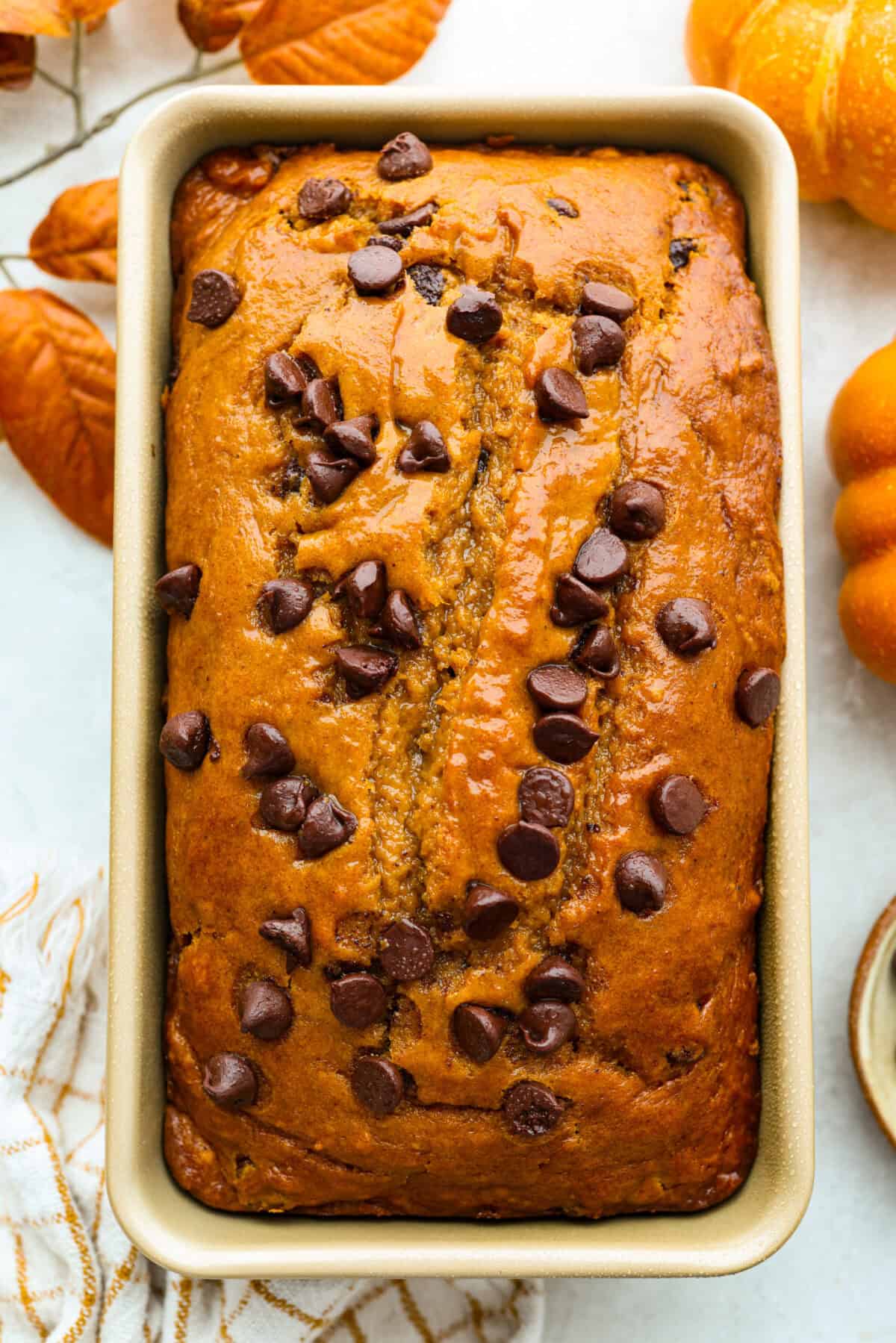 Overhead shot of a loaf of pumpkin chocolate chip bread. 