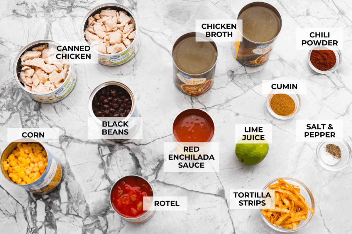 It doesn't get any easier than this 8 Can Chicken Tortilla Soup! Dinner is ready in minutes! Just open, dump, heat, and enjoy bold, delicious flavor in no time! Overhead shot of labeled ingredients.